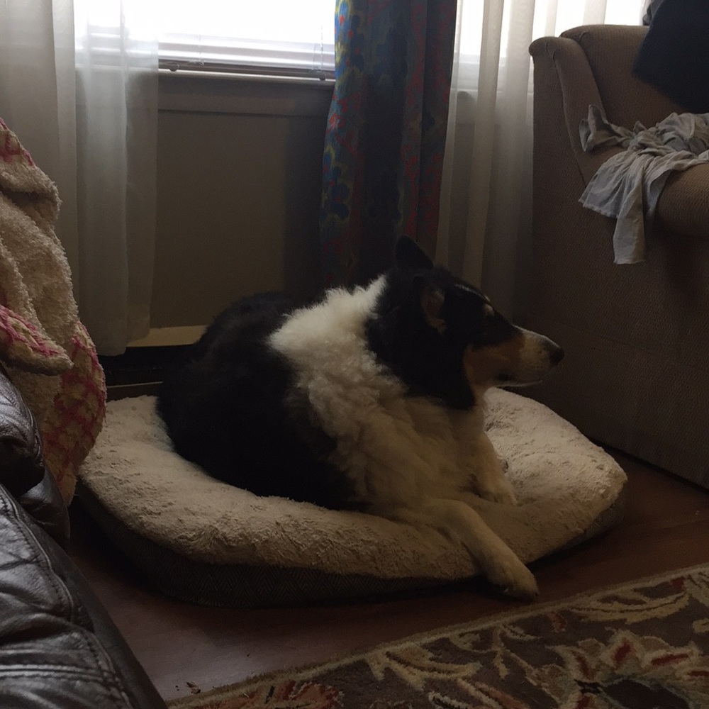 Meet your Posher, Gretta